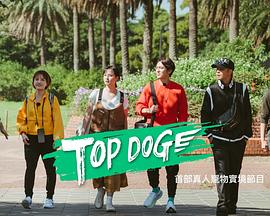 性欲社《TOP DOG》免费在线观看
