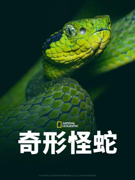 性福啪《奇形怪蛇》免费在线观看